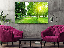 Obraz Zeleň v parku 1671